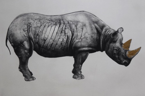 Golden Rhino
Photopolymer Print, 57 x 75 cm
£420